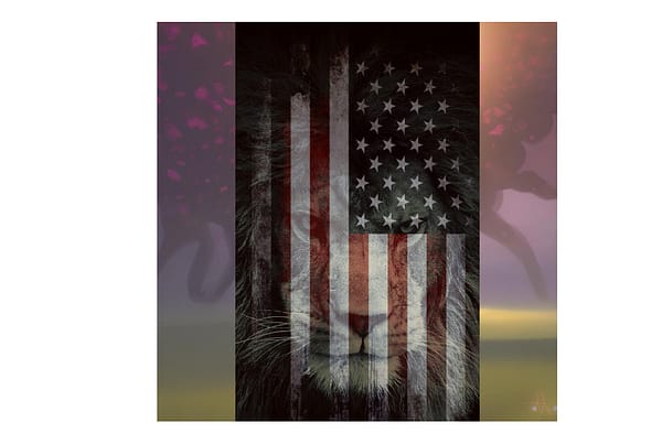A lion with an american flag on it's face.