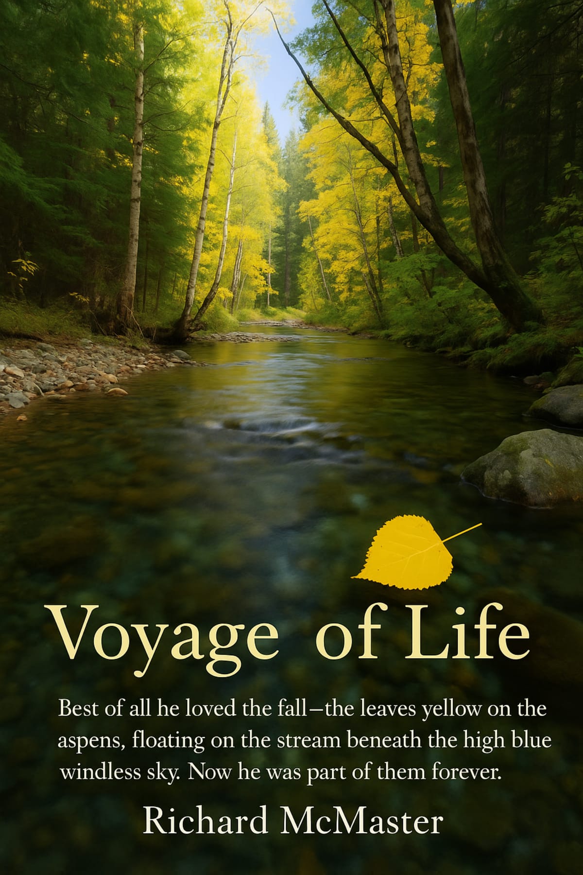 Voyage Of Life Launch