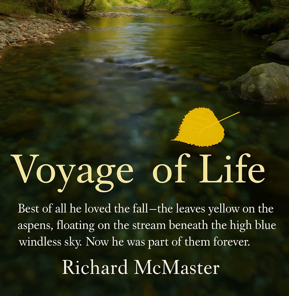 Voyage Of Life Launch